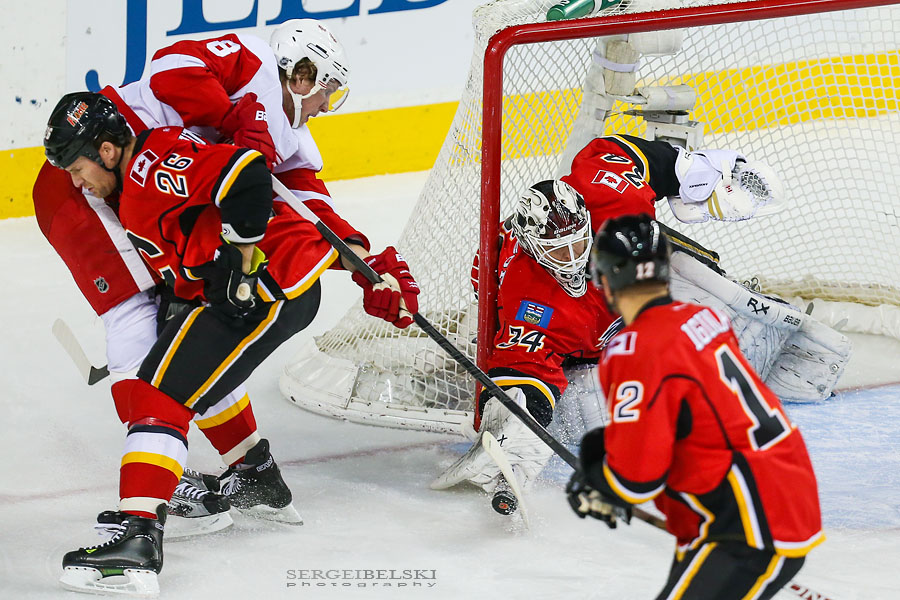 nhl hockey calgary flames vs detroit red wings sergei belski photo