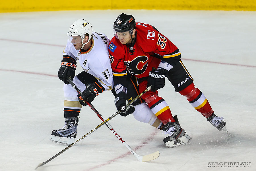 nhl hockey calgary flames vs anaheim ducks sergei belski photo