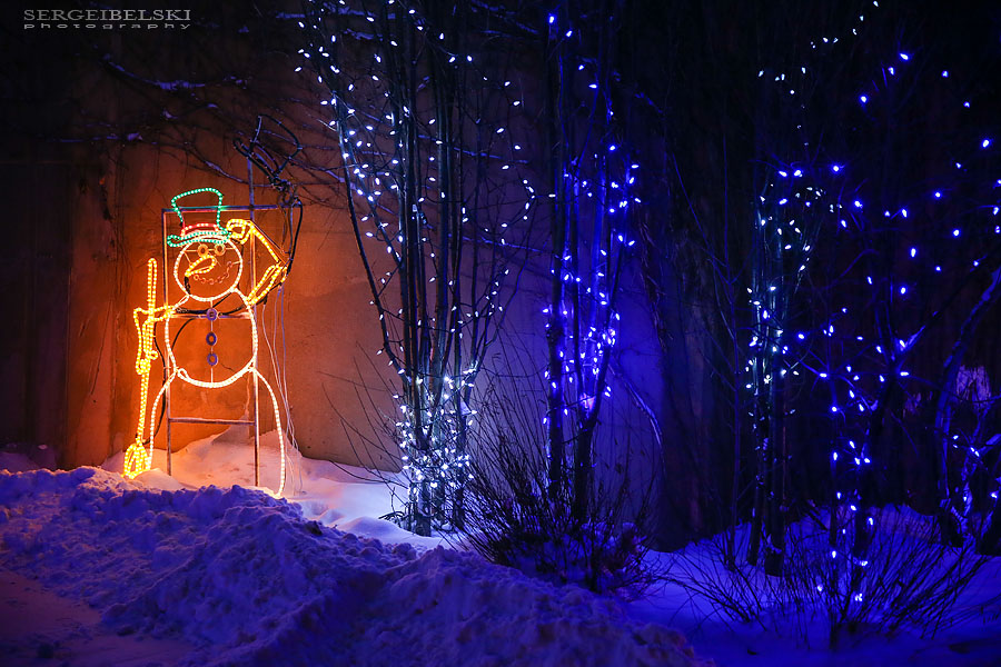 zoo christmas lights event photographer sergei belski photo
