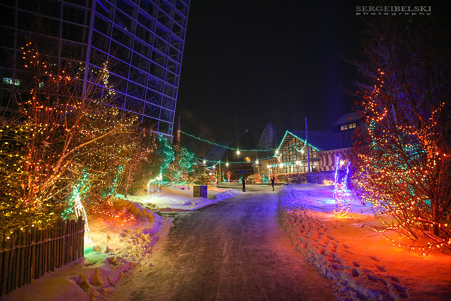 zoo christmas lights event photographer sergei belski photo