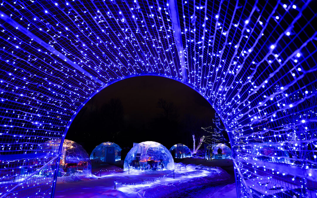 WILDER INSTITUTE / CALGARY ZOO | ZOOLIGHTS