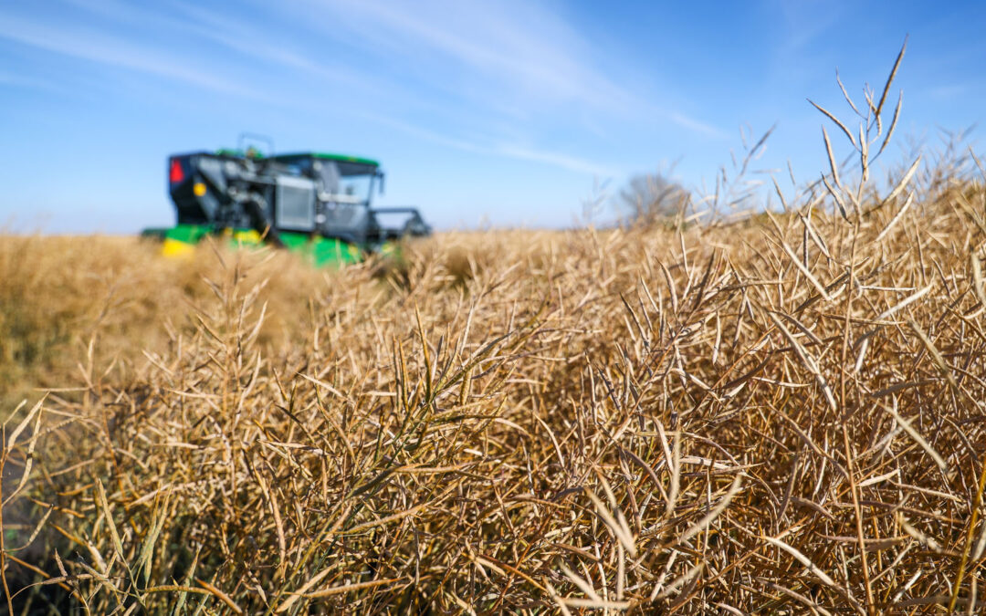 PHOTO SHOOT FOR OLDS COLLEGE