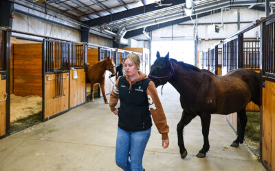 PHOTO SHOOTS FOR OLDS COLLEGE