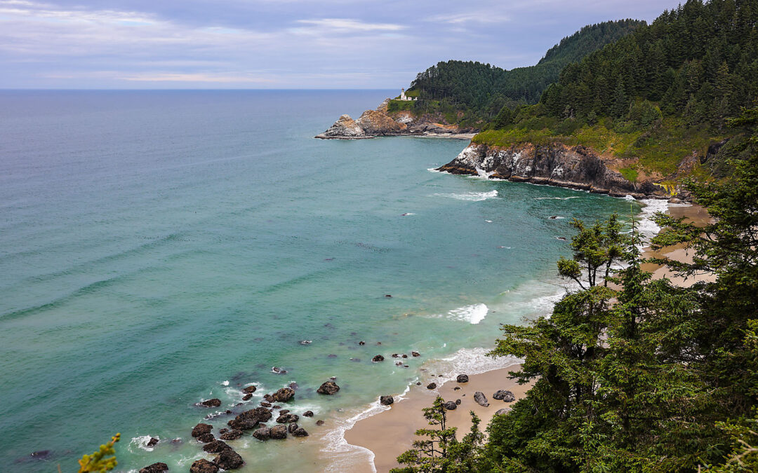 SAN FRANCISCO ROAD TRIP