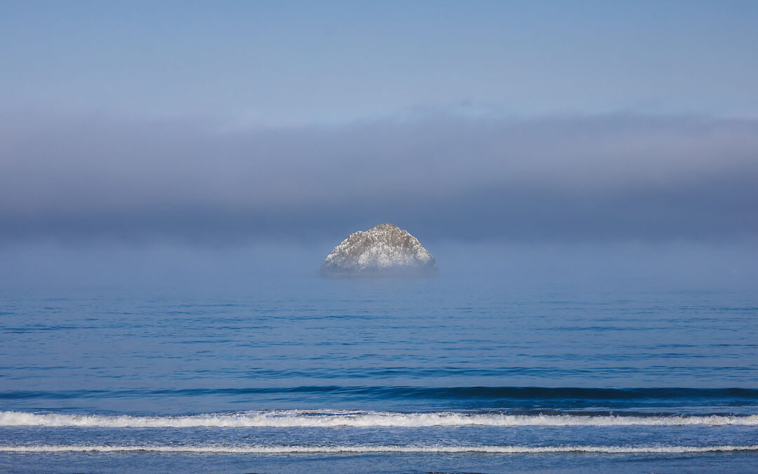 SAN FRANCISCO ROAD TRIP