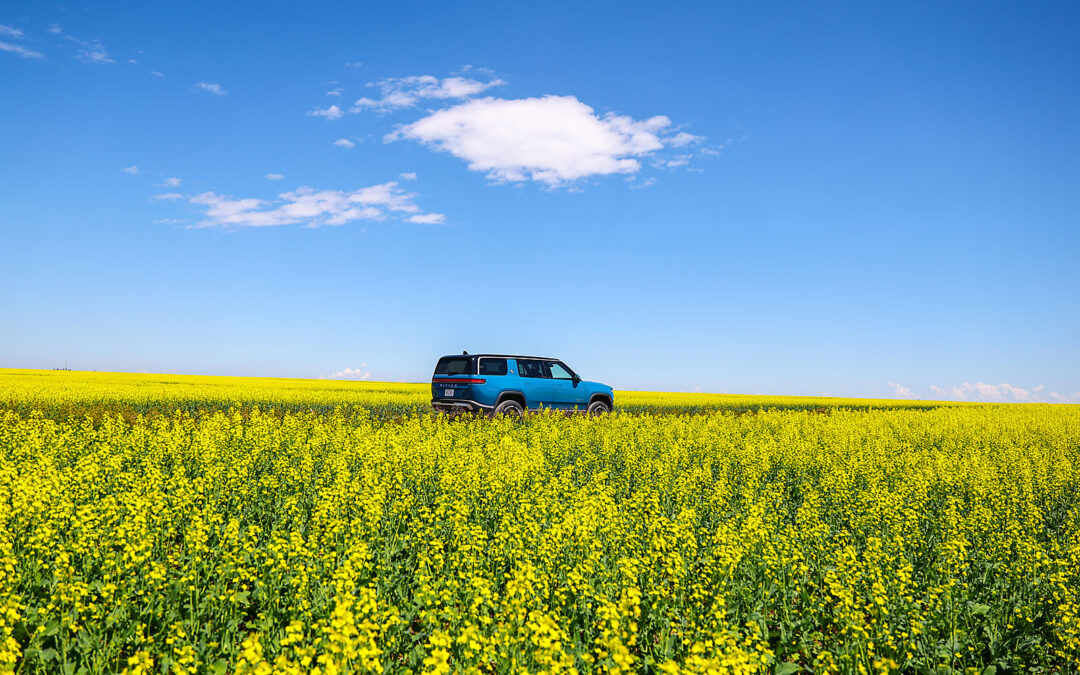 CANOLA FIELDS IN ALBERTA | MY RIVIAN ADVENTURES